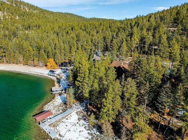 drone / aerial view with a water view and a forest view