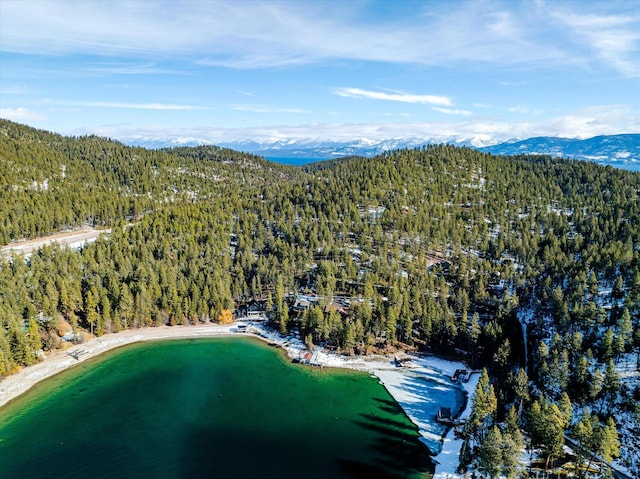 birds eye view of property with a water and mountain view and a wooded view