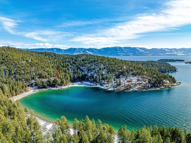 drone / aerial view featuring a view of trees and a water and mountain view