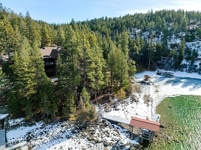 aerial view with a wooded view