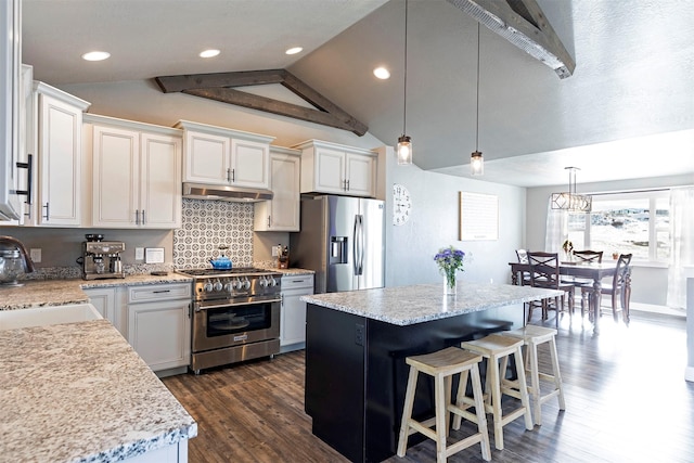 kitchen featuring lofted ceiling, appliances with stainless steel finishes, dark wood-type flooring, a sink, and under cabinet range hood