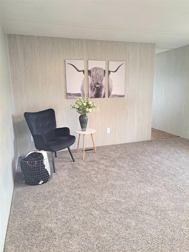 2968 Sunnyside Rd, Helena, MT 59602 - living area with carpet and wooden walls