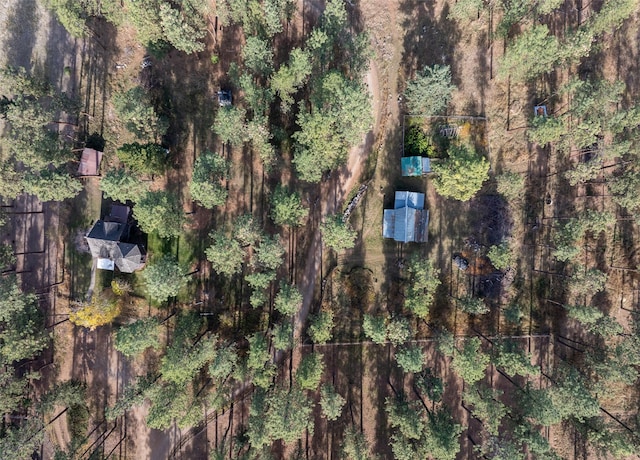 aerial view featuring a view of trees