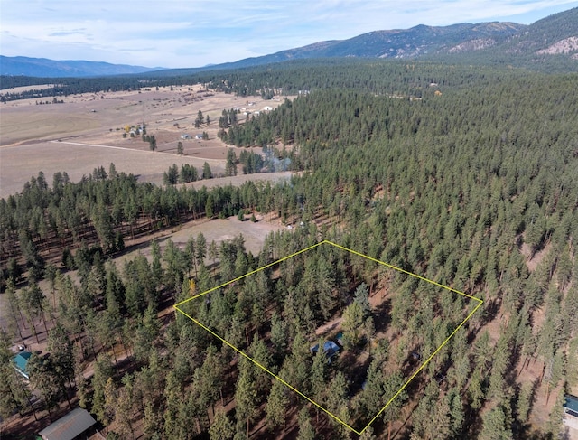 drone / aerial view featuring a forest view and a mountain view