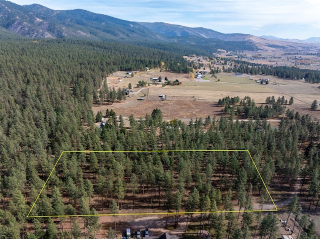 birds eye view of property with a mountain view and a view of trees