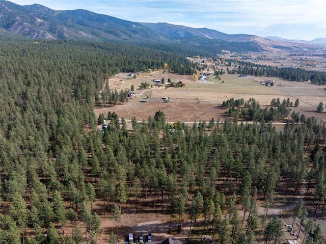 view of mountain feature featuring a wooded view