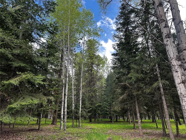 22 Pinewoods Dr, Trout Creek, MT 59874 - view of wooded area