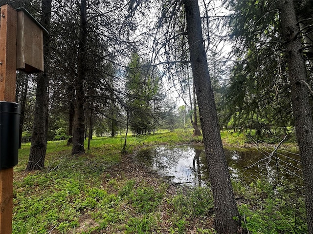 22 Pinewoods Dr, Trout Creek, MT 59874 - water view
