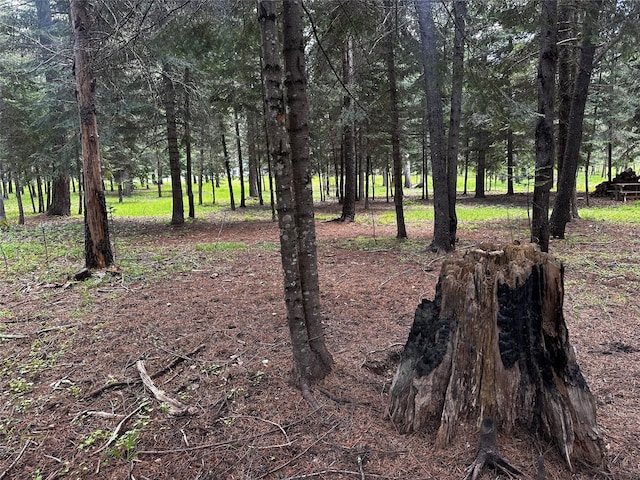 22 Pinewoods Dr, Trout Creek, MT 59874 - view of local wilderness