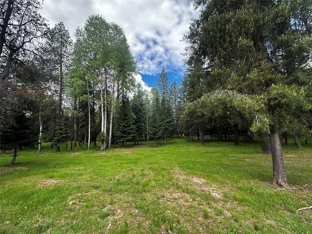 22 Pinewoods Dr, Trout Creek, MT 59874 - view of grassy yard