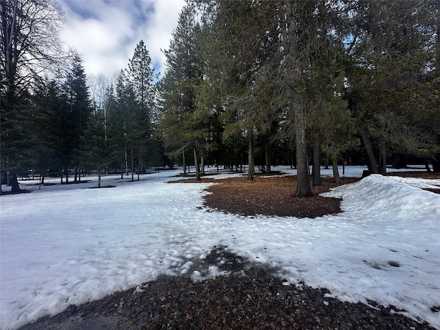 yard layered in snow with a wooded view