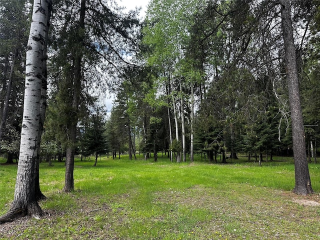 22 Pinewoods Dr, Trout Creek, MT 59874 - view of tree filled area