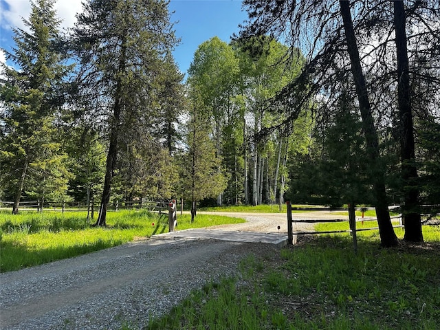 22 Pinewoods Dr, Trout Creek, MT 59874 - view of dirt / gravel road with a forest view