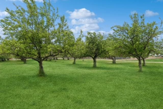 65637 Mt Highway 37, Eureka, MT 59917 - view of grassy yard