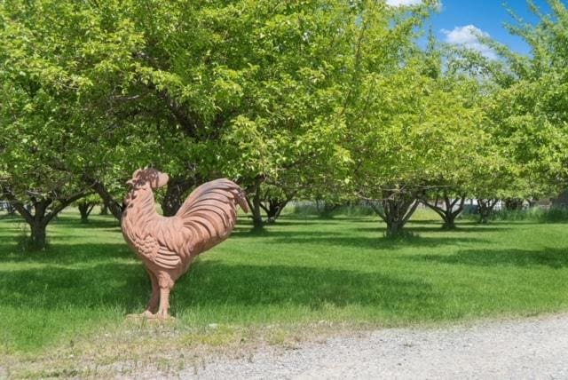 65637 Mt Highway 37, Eureka, MT 59917 - view of property's community featuring a yard