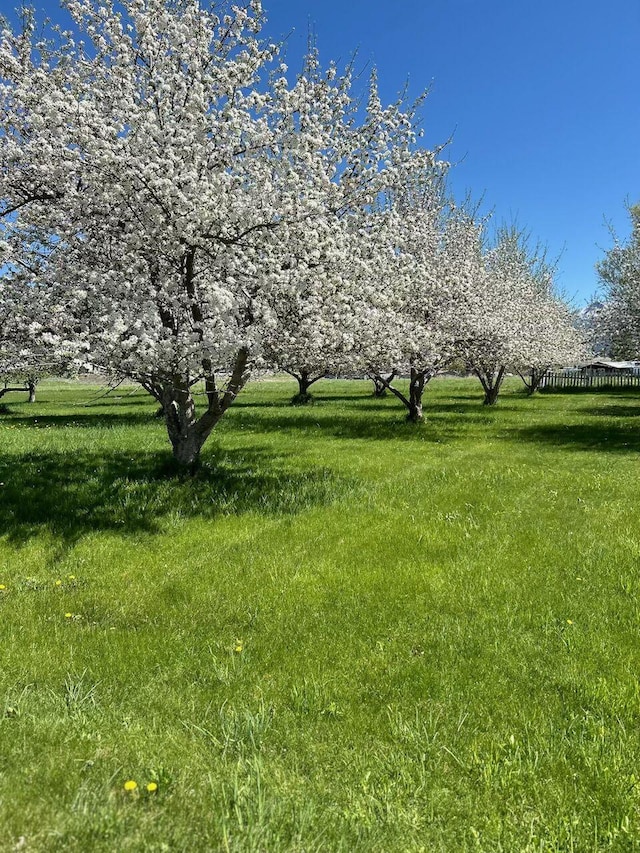 65637 Mt Highway 37, Eureka, MT 59917 - view of yard