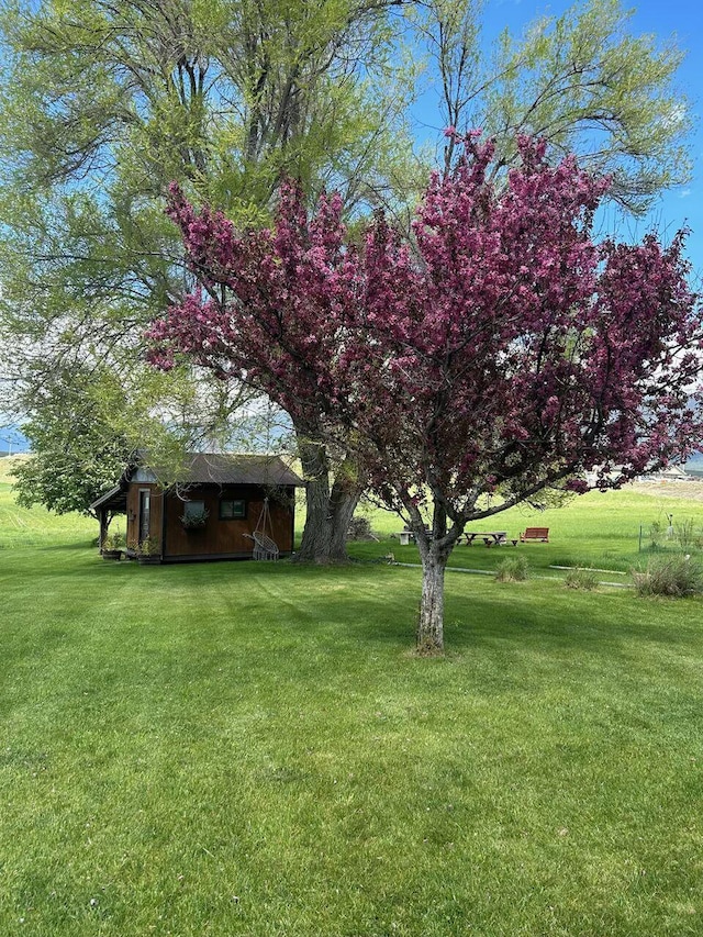 65637 Mt Highway 37, Eureka, MT 59917 - view of green lawn with an outbuilding