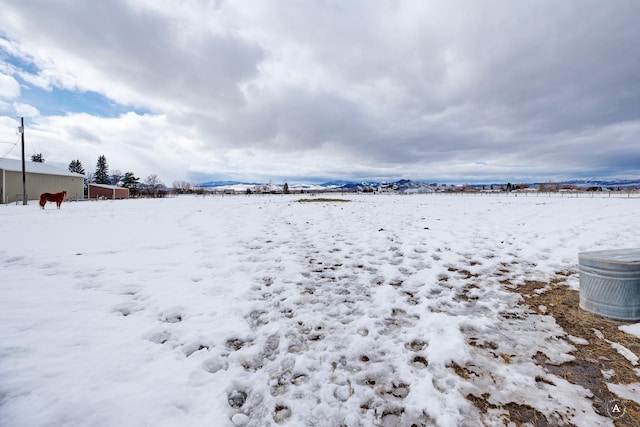 view of yard covered in snow