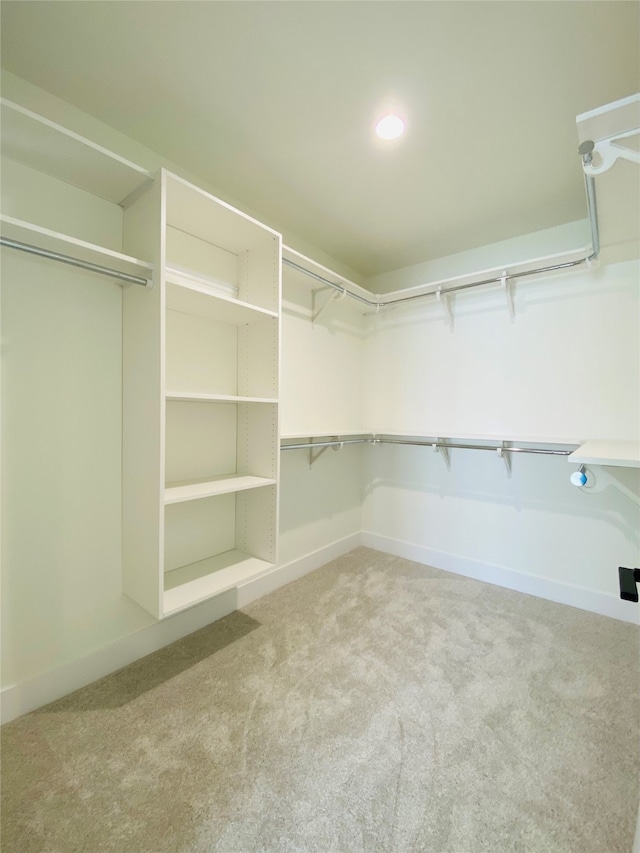 walk in closet featuring light carpet