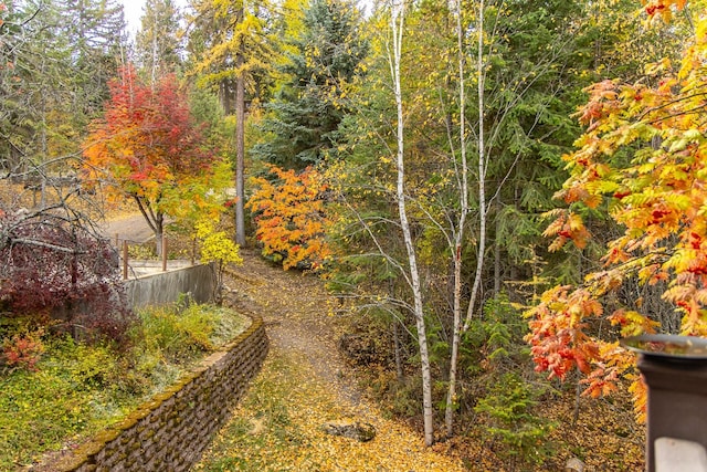 view of yard with a wooded view