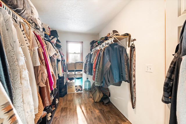 walk in closet featuring wood finished floors