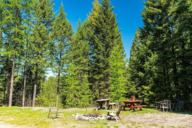 view of yard with a wooded view