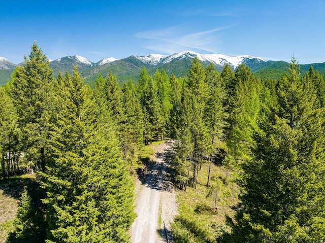 mountain view featuring a view of trees