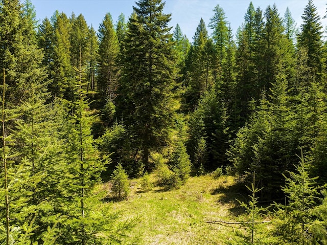 view of landscape with a forest view