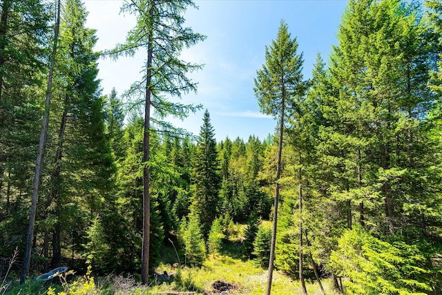 view of local wilderness featuring a forest view