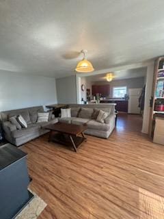 155 8th Ave, Kalispell, MT 59901 - living room featuring wood finished floors