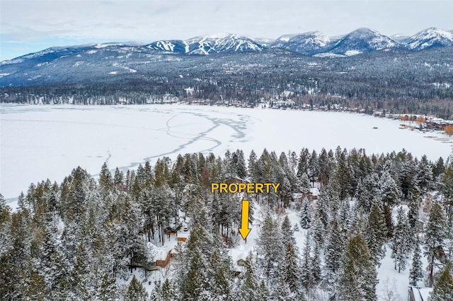 935 Pack Rat Ln, Whitefish, MT 59937 - snowy aerial view featuring a mountain view