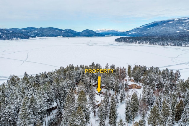 935 Pack Rat Ln, Whitefish, MT 59937 - snowy aerial view with a mountain view