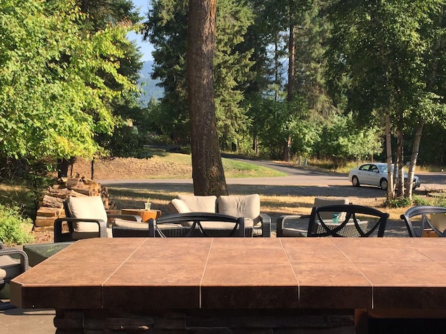 935 Pack Rat Ln, Whitefish, MT 59937 - view of patio / terrace