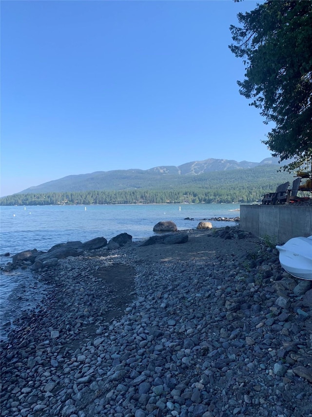 935 Pack Rat Ln, Whitefish, MT 59937 - water view with a mountainous background