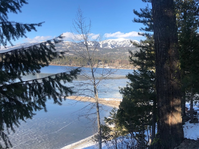 935 Pack Rat Ln, Whitefish, MT 59937 - water view with mountains