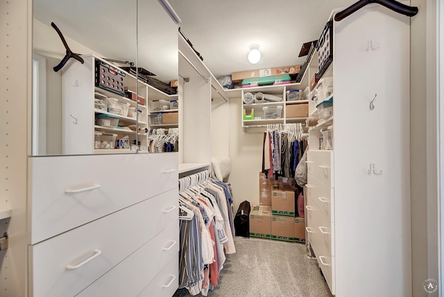 walk in closet with carpet floors