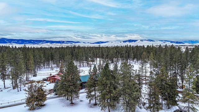 snowy aerial view with a mountain view and a wooded view