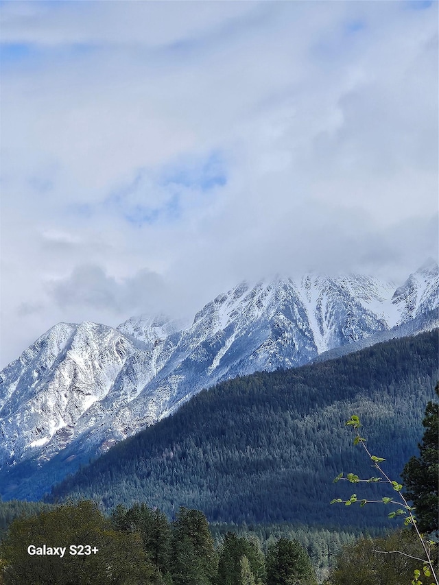 view of mountain feature featuring a forest view