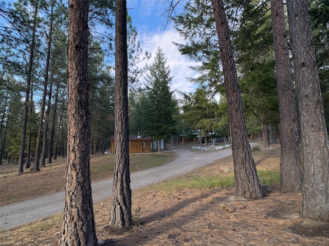 view of street with driveway