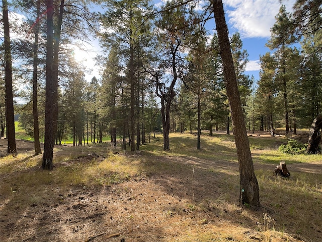 view of local wilderness