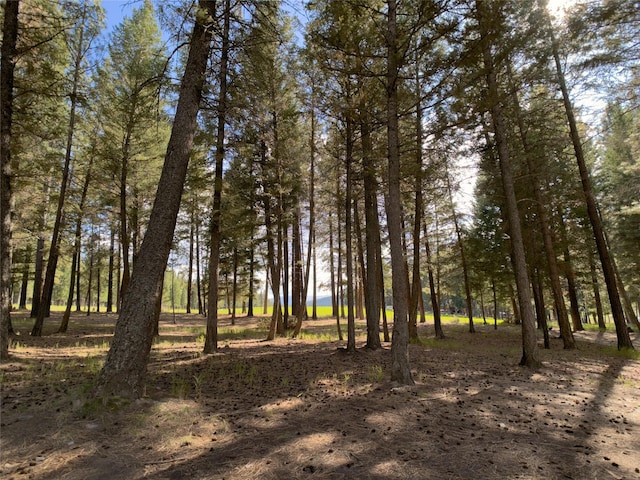 view of local wilderness