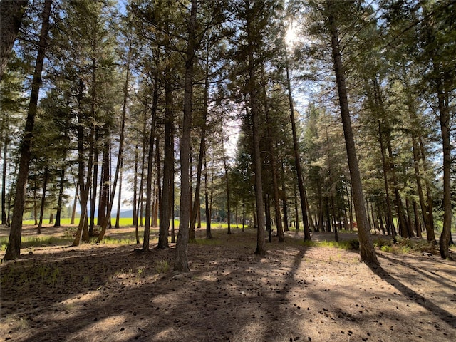 view of landscape