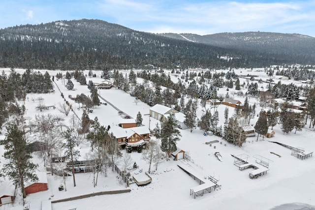 snowy aerial view featuring a mountain view