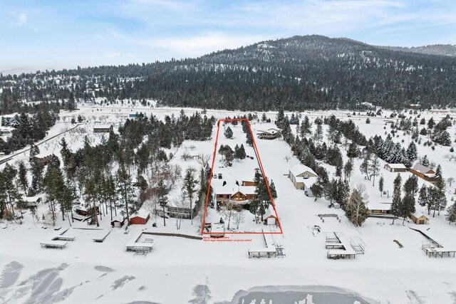 snowy aerial view with a mountain view and a forest view