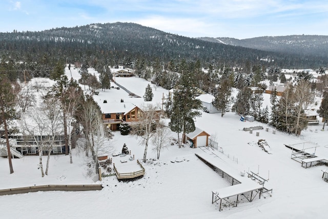 snowy aerial view with a mountain view and a view of trees