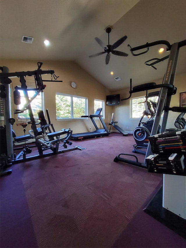 4100 Mullan Rd Unit 107, Missoula, MT 59808 - workout area featuring ceiling fan, lofted ceiling, carpet, and recessed lighting