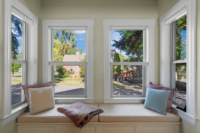 doorway featuring a wealth of natural light