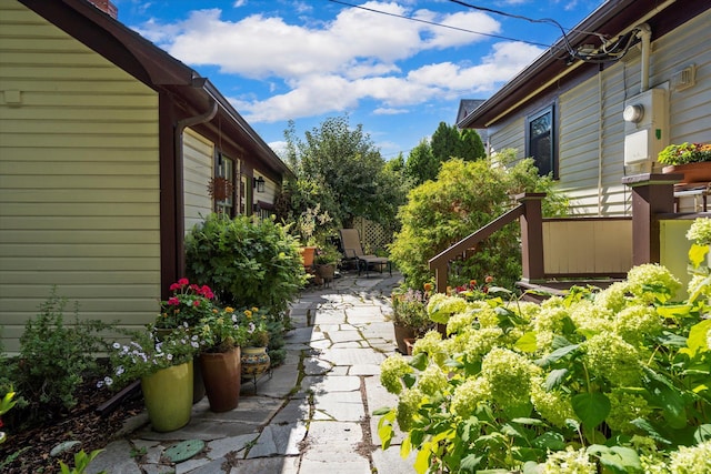 view of yard with a patio