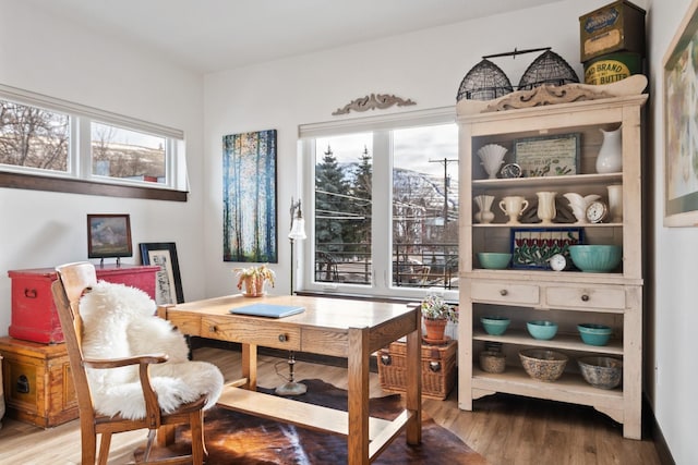 dining area featuring wood finished floors