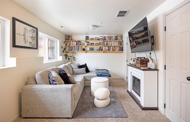 1276 River St, Missoula, MT 59801 - carpeted living area featuring a glass covered fireplace